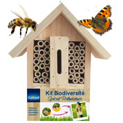 Kit Biodiversidad, especial polinizadores